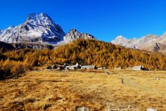 alpe_veglia